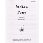 Indian Pony