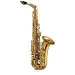 Stellar Alto Saxophone