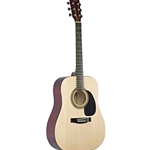 Johnson Guitar Natural Top