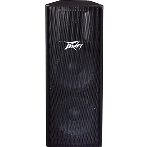 Peavey PV215 Passive Speaker