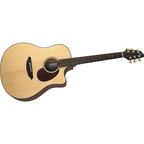 breedlove ac25