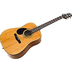 samick acoustic guitar