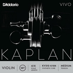 D'Addario Kaplan Vivo 4/4 Violin Set
